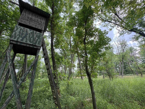 0 Fairview Rd., FREEPORT, Illinois 61032, ,Land,For Sale,Fairview Rd.,202504855