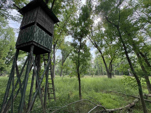 0 Fairview Rd., FREEPORT, Illinois 61032, ,Land,For Sale,Fairview Rd.,202504855