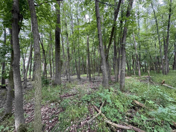 0 Fairview Rd., FREEPORT, Illinois 61032, ,Land,For Sale,Fairview Rd.,202504855