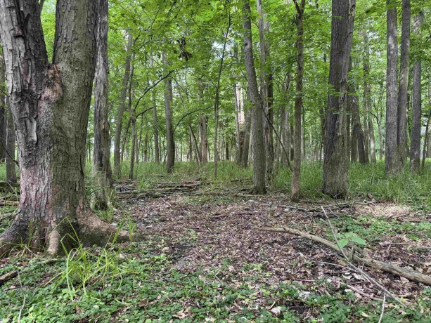 0 Fairview Rd., FREEPORT, Illinois 61032, ,Land,For Sale,Fairview Rd.,202504855