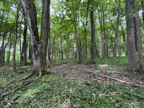 0 Fairview Rd., FREEPORT, Illinois 61032, ,Land,For Sale,Fairview Rd.,202504855