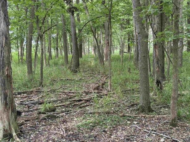 0 Fairview Rd., FREEPORT, Illinois 61032, ,Land,For Sale,Fairview Rd.,202504855