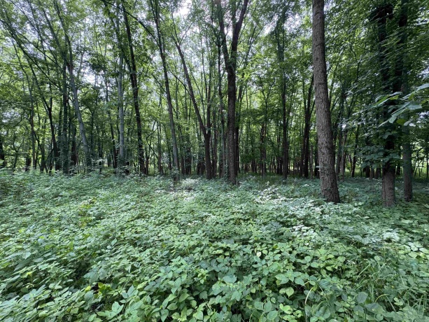 0 Fairview Rd., FREEPORT, Illinois 61032, ,Land,For Sale,Fairview Rd.,202504855