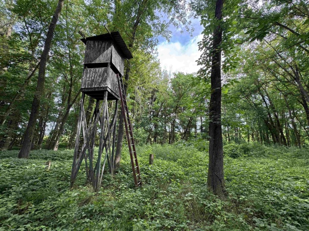 0 Fairview Rd., FREEPORT, Illinois 61032, ,Land,For Sale,Fairview Rd.,202504855