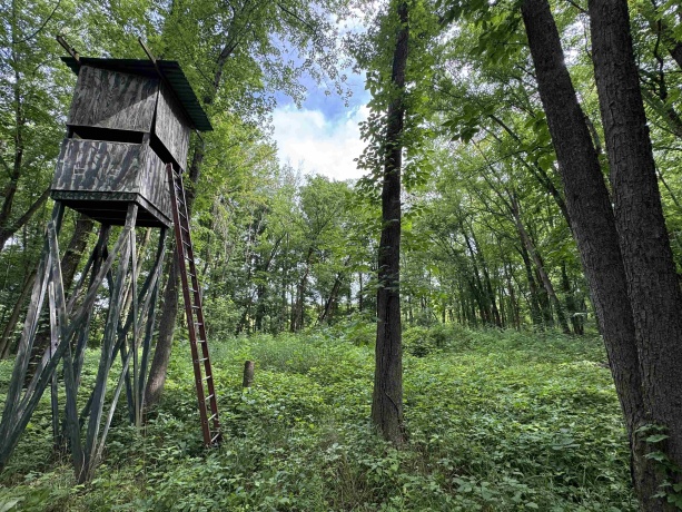 0 Fairview Rd., FREEPORT, Illinois 61032, ,Land,For Sale,Fairview Rd.,202504855