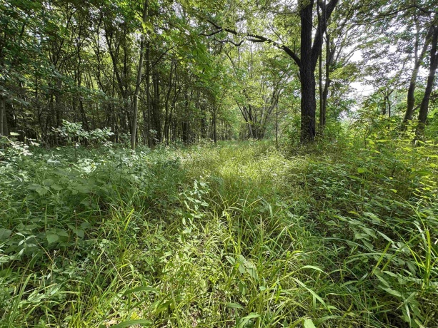 0 Fairview Rd., FREEPORT, Illinois 61032, ,Land,For Sale,Fairview Rd.,202504855