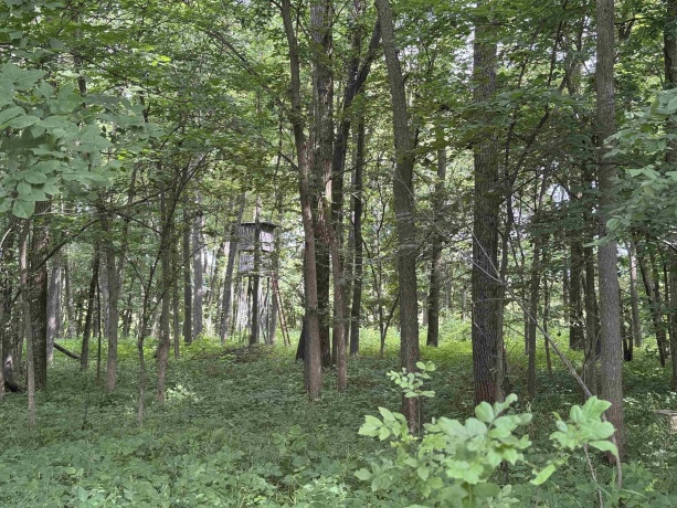 0 Fairview Rd., FREEPORT, Illinois 61032, ,Land,For Sale,Fairview Rd.,202504855