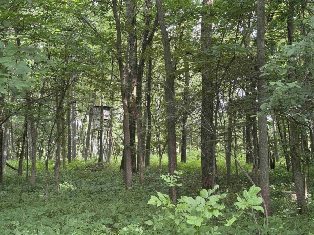 0 Fairview Rd., FREEPORT, Illinois 61032, ,Land,For Sale,Fairview Rd.,202504855