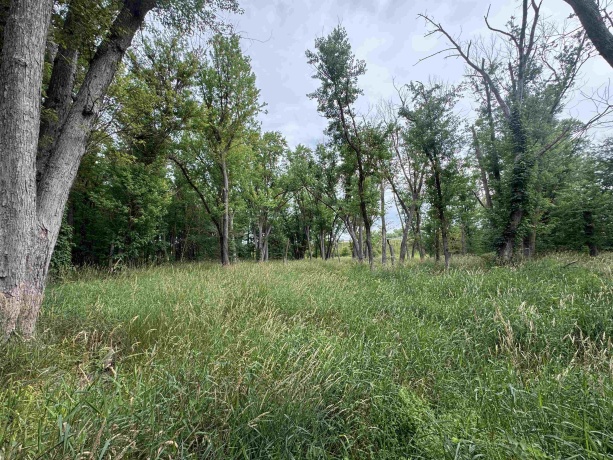 0 Fairview Rd., FREEPORT, Illinois 61032, ,Land,For Sale,Fairview Rd.,202504855