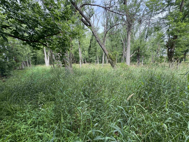 0 Fairview Rd., FREEPORT, Illinois 61032, ,Land,For Sale,Fairview Rd.,202504855