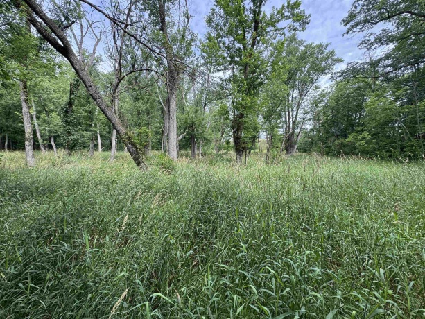 0 Fairview Rd., FREEPORT, Illinois 61032, ,Land,For Sale,Fairview Rd.,202504855