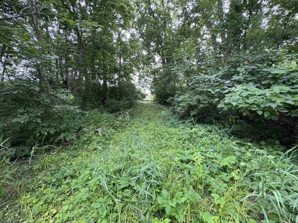 0 Fairview Rd., FREEPORT, Illinois 61032, ,Land,For Sale,Fairview Rd.,202504855