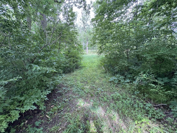 0 Fairview Rd., FREEPORT, Illinois 61032, ,Land,For Sale,Fairview Rd.,202504855