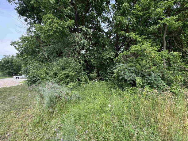 0 Fairview Rd., FREEPORT, Illinois 61032, ,Land,For Sale,Fairview Rd.,202504855