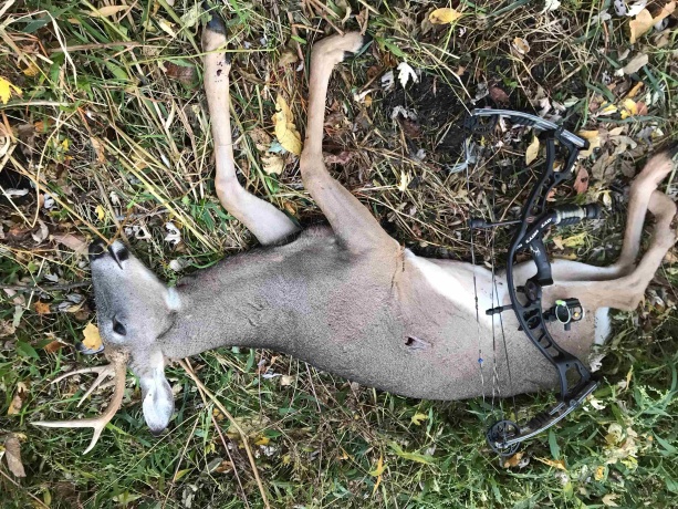 0 Fairview Rd., FREEPORT, Illinois 61032, ,Land,For Sale,Fairview Rd.,202504855