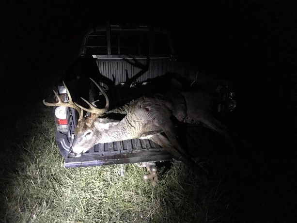 0 Fairview Rd., FREEPORT, Illinois 61032, ,Land,For Sale,Fairview Rd.,202504855