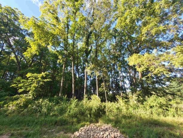 2943 Hairpin, PEARL CITY, Illinois 61062, ,Land,For Sale,Hairpin,202505410