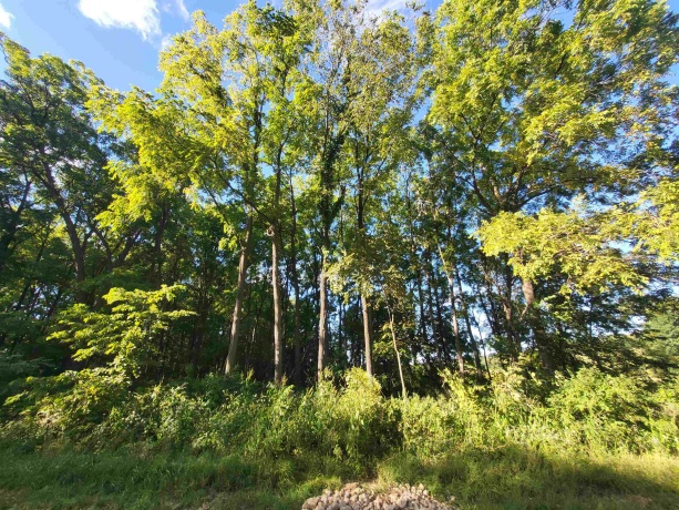 2943 Hairpin, PEARL CITY, Illinois 61062, ,Land,For Sale,Hairpin,202505410