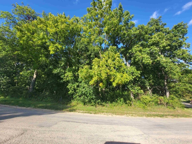 2943 Hairpin, PEARL CITY, Illinois 61062, ,Land,For Sale,Hairpin,202505410