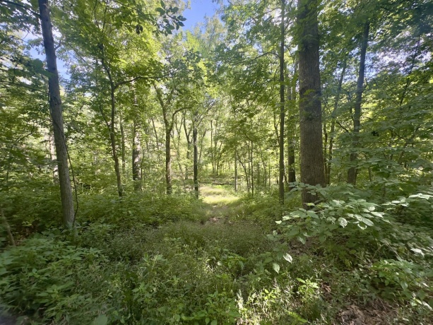 14094 Three Mile Road Lot A, THOMSON, Illinois 61285, ,Land,For Sale,Three Mile Road Lot A,202505446