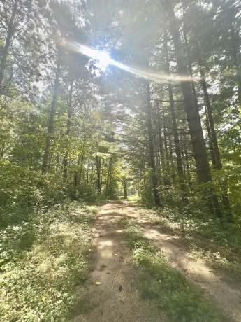 14094 Three Mile Road Lot A, THOMSON, Illinois 61285, ,Land,For Sale,Three Mile Road Lot A,202505446