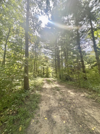 14094 Three Mile Road Lot A, THOMSON, Illinois 61285, ,Land,For Sale,Three Mile Road Lot A,202505446