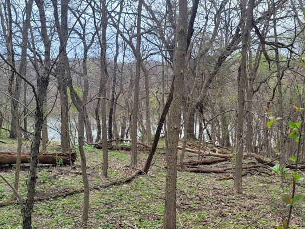 4 Waterford, GALENA, Illinois 61036, ,Land,For Sale,Waterford,202505477