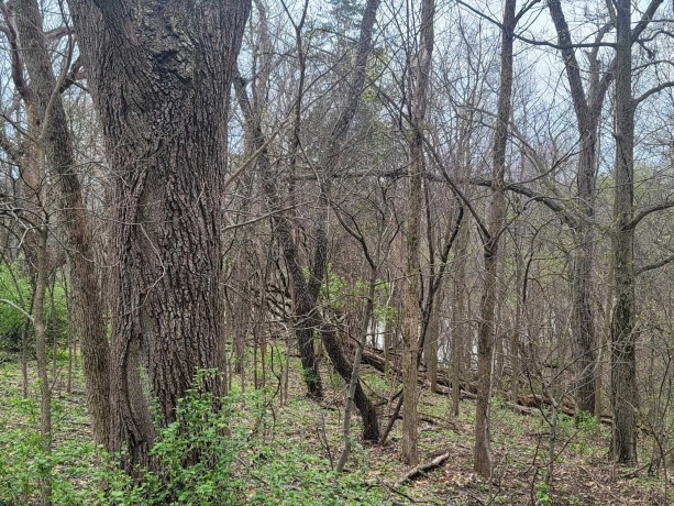 4 Waterford, GALENA, Illinois 61036, ,Land,For Sale,Waterford,202505477