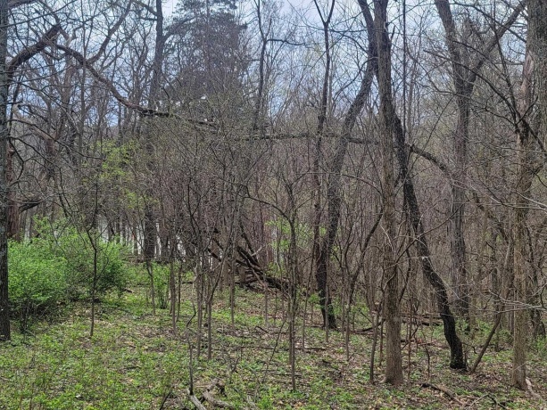 4 Waterford, GALENA, Illinois 61036, ,Land,For Sale,Waterford,202505477