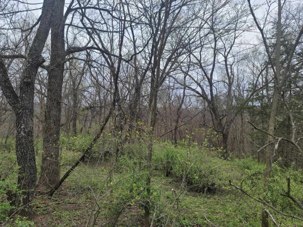 4 Waterford, GALENA, Illinois 61036, ,Land,For Sale,Waterford,202505477