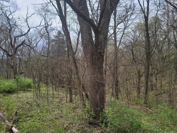 4 Waterford, GALENA, Illinois 61036, ,Land,For Sale,Waterford,202505477