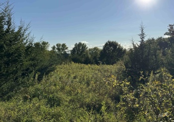 5 Woodside, GALENA, Illinois 61036, ,Land,For Sale,Woodside,202505492