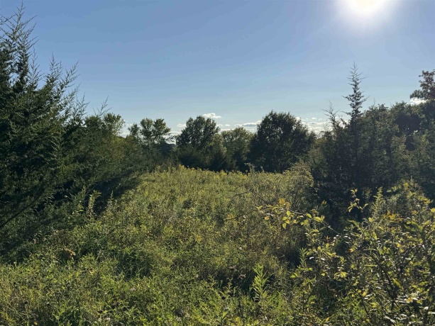 5 Woodside, GALENA, Illinois 61036, ,Land,For Sale,Woodside,202505492