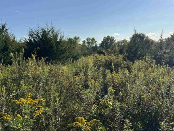 5 Woodside, GALENA, Illinois 61036, ,Land,For Sale,Woodside,202505492