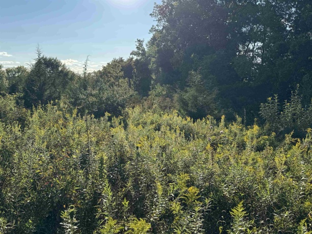 5 Woodside, GALENA, Illinois 61036, ,Land,For Sale,Woodside,202505492