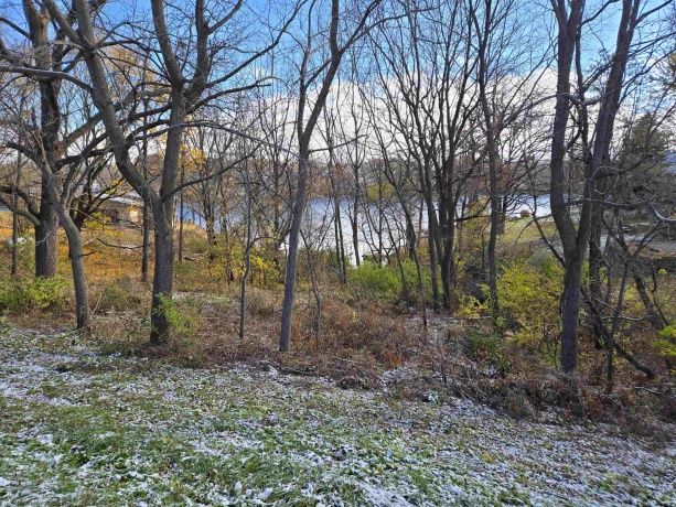 1A55 Raindance, APPLE RIVER, Illinois 61001, ,Land,For Sale,Raindance,202505555