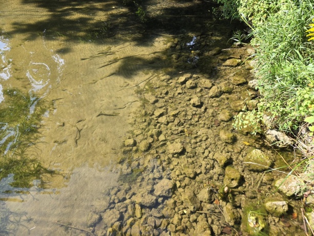 1A55 Raindance, APPLE RIVER, Illinois 61001, ,Land,For Sale,Raindance,202505555