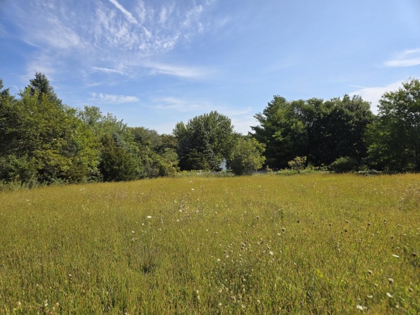 1A55 Raindance, APPLE RIVER, Illinois 61001, ,Land,For Sale,Raindance,202505555