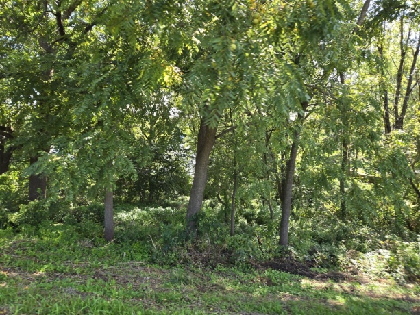 1A55 Raindance, APPLE RIVER, Illinois 61001, ,Land,For Sale,Raindance,202505555