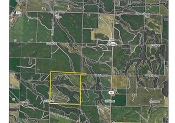 TBD Golding, THOMSON, Illinois 61285, ,Land,For Sale,Golding,202505557