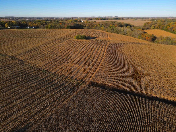 000 US BUSINESS 20, FREEPORT, Illinois 61032, ,Land,For Sale,US BUSINESS 20,202505575