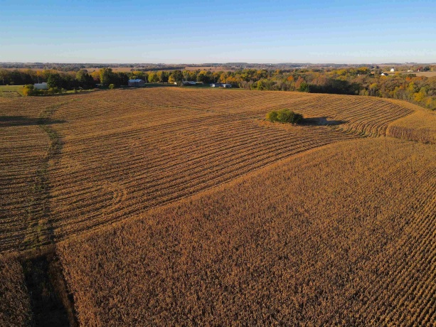 000 US BUSINESS 20, FREEPORT, Illinois 61032, ,Land,For Sale,US BUSINESS 20,202505575