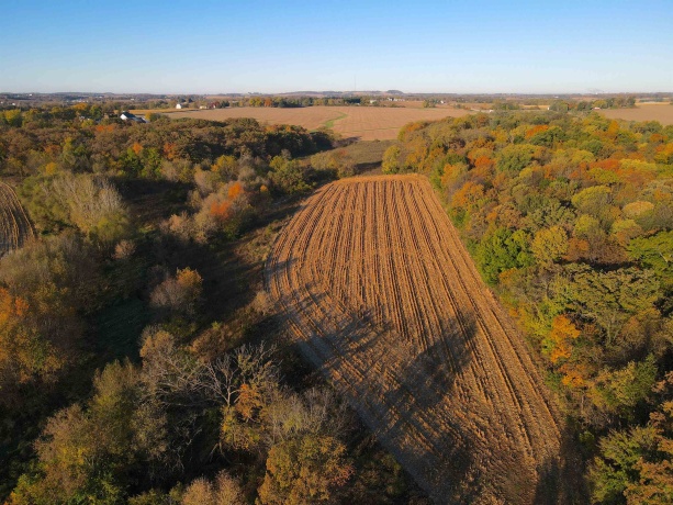 000 US BUSINESS 20, FREEPORT, Illinois 61032, ,Land,For Sale,US BUSINESS 20,202505575