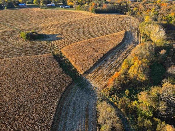 000 US BUSINESS 20, FREEPORT, Illinois 61032, ,Land,For Sale,US BUSINESS 20,202505575