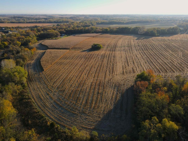 000 US BUSINESS 20, FREEPORT, Illinois 61032, ,Land,For Sale,US BUSINESS 20,202505575