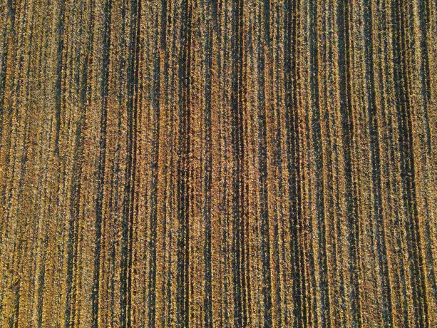 000 US BUSINESS 20, FREEPORT, Illinois 61032, ,Land,For Sale,US BUSINESS 20,202505575