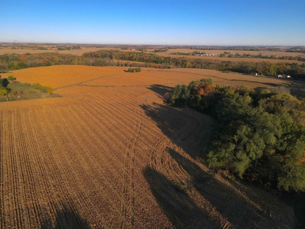 000 US BUSINESS 20, FREEPORT, Illinois 61032, ,Land,For Sale,US BUSINESS 20,202505575