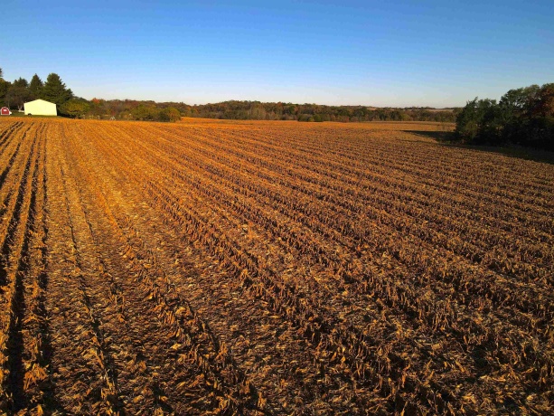 000 US BUSINESS 20, FREEPORT, Illinois 61032, ,Land,For Sale,US BUSINESS 20,202505575