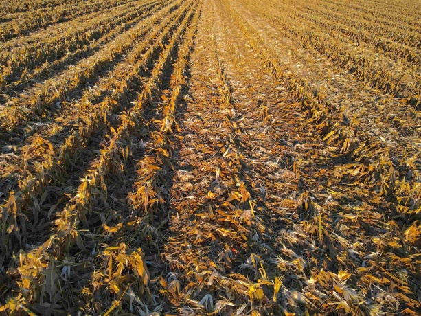 000 US BUSINESS 20, FREEPORT, Illinois 61032, ,Land,For Sale,US BUSINESS 20,202505575