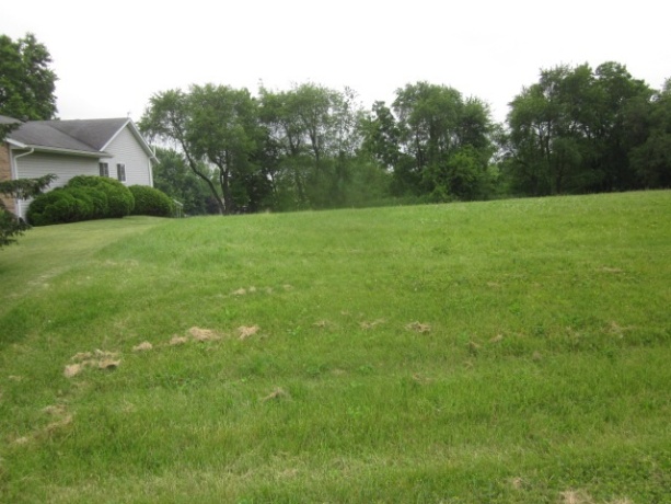 757 GAINSBORO RD, LAKE SUMMERSET, Illinois 61019, ,Land,For Sale,GAINSBORO RD,202301300